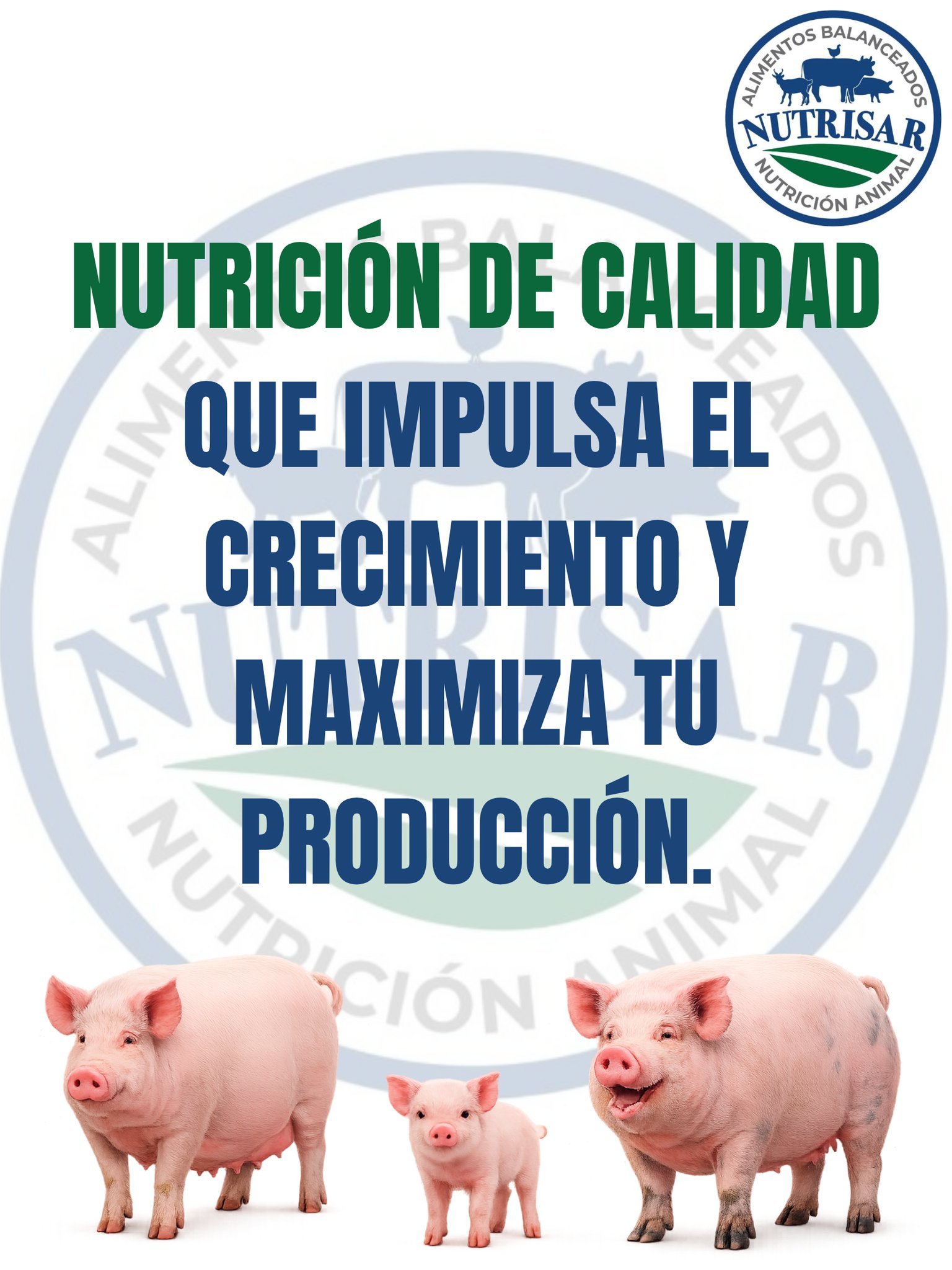 Nutrisar — imagen 1