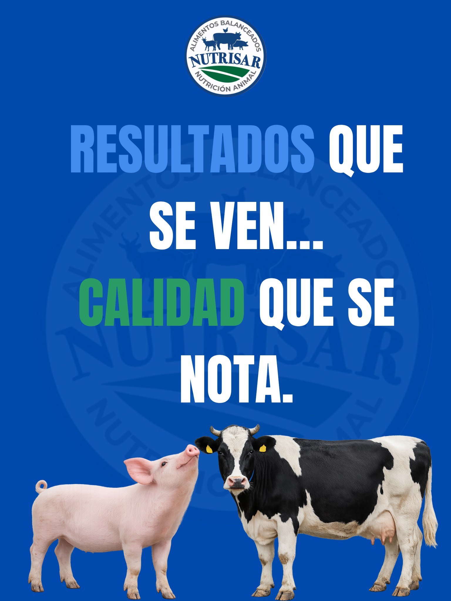 Nutrisar — imagen 2