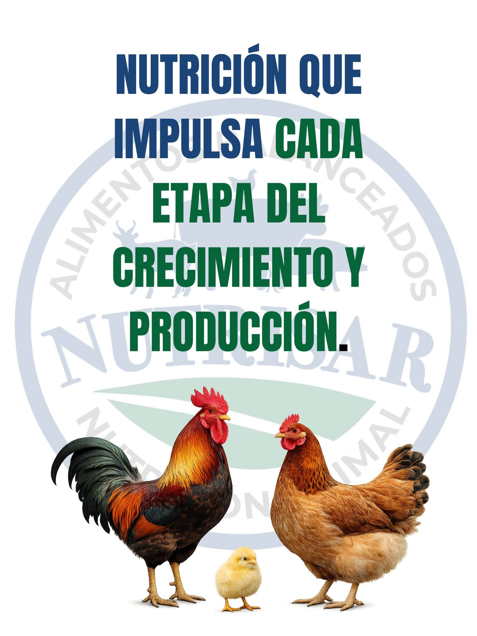 Nutrisar — imagen 3
