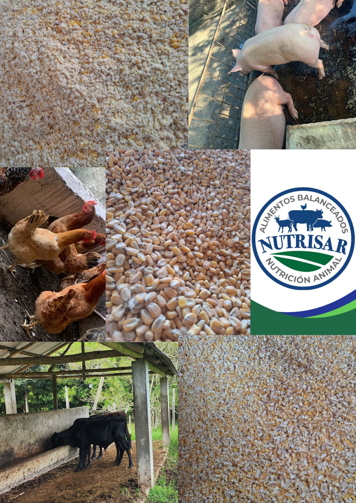 Síguenos en redes — Alimentos Balanceados Nutrisar